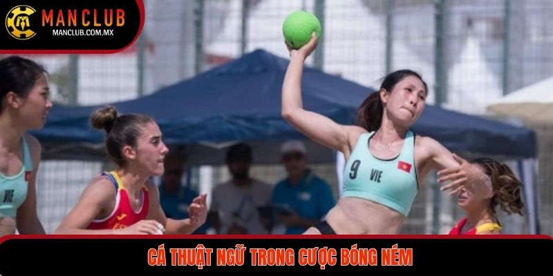 Những thuật ngữ thường xuất hiện khi cá cược bóng ném